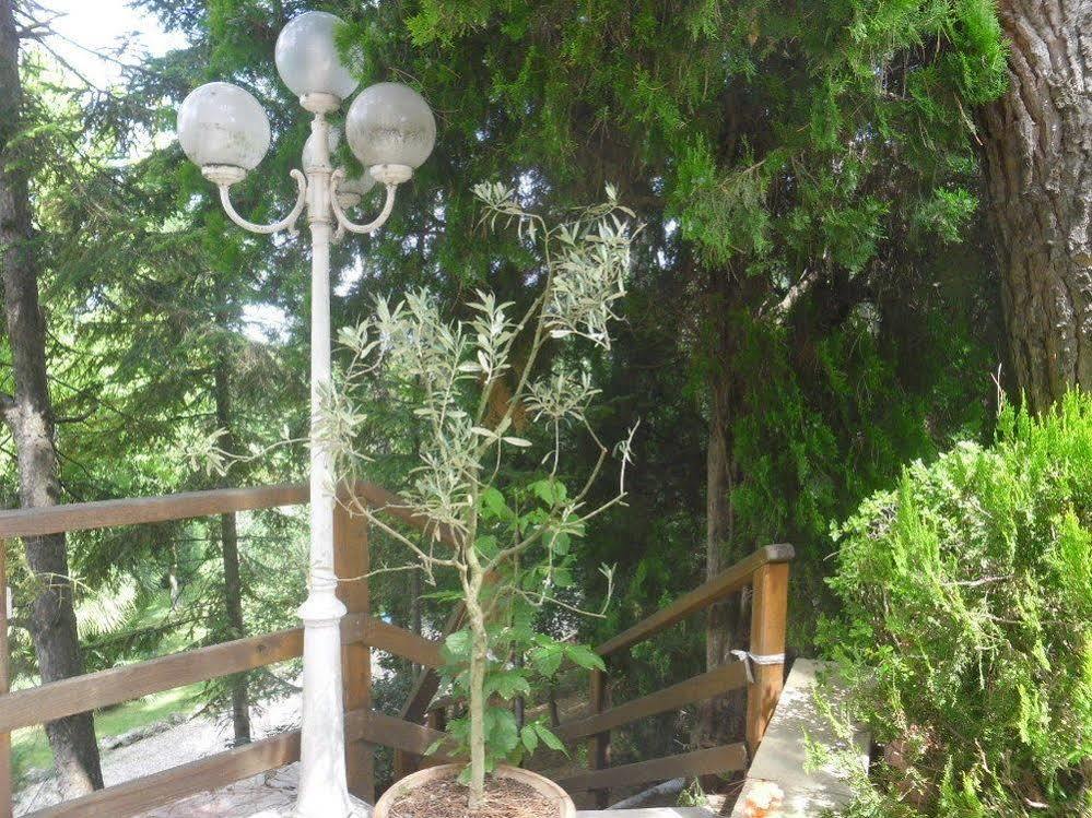 Hotel Ristorante Farneta Cortona Eksteriør billede